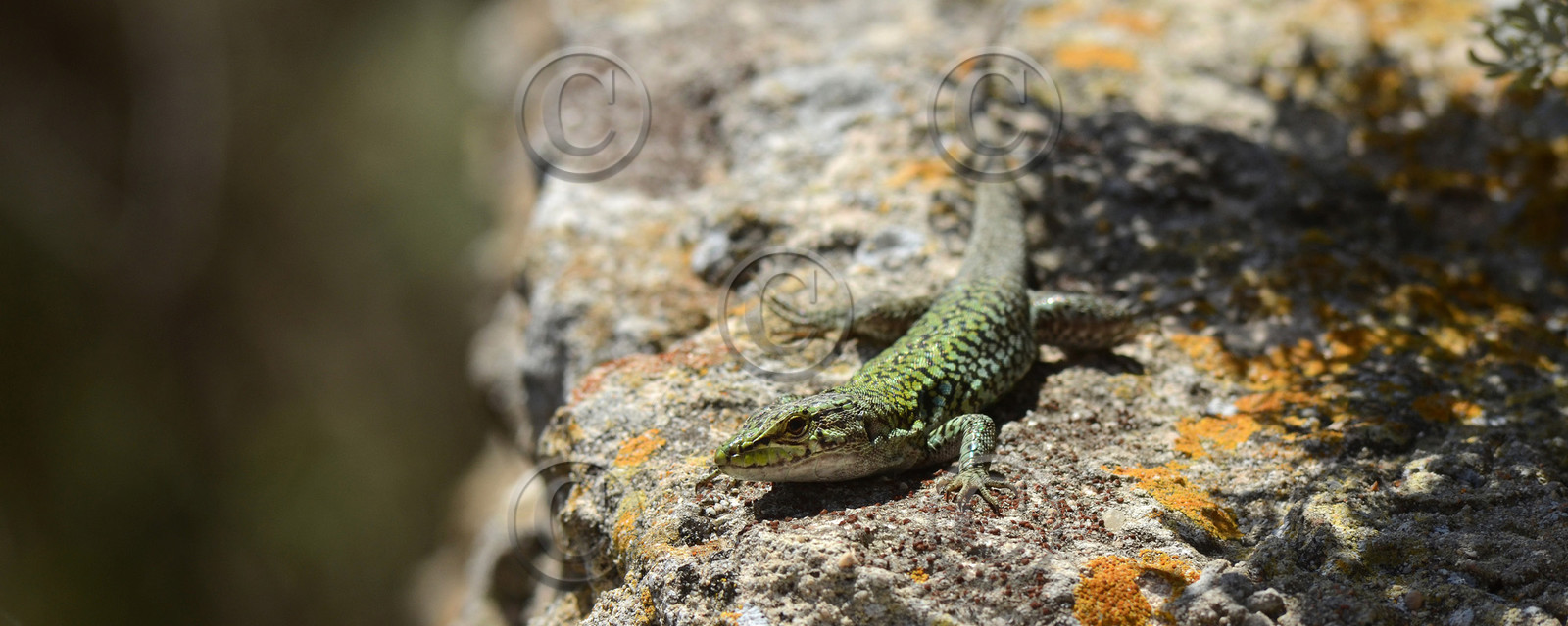 MISE A  JOUR  en cours