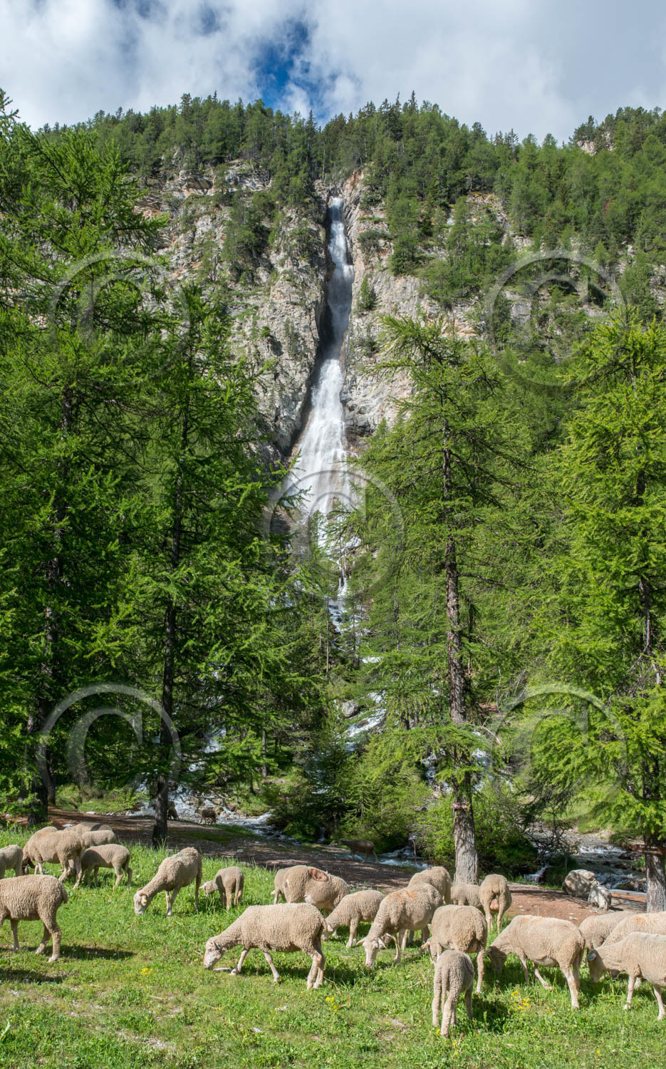 montagne haute alpes ,queyras, mercantour,alpes de haute provence,alpes maritime
