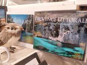 Marche de noel de Marseille 2023   2024