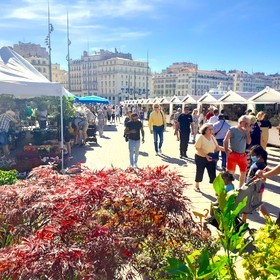 2023 l'année derniere sur le Vieux Port  de Marseille