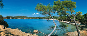 CALANQUE AU LAVANDOU 120X50CMCalanques Provence MarseilleFORMAT DISPONIBLE  120X52CMpas de telechargement disponible.A chaque format correspond une éditions limitée spécifique .© collection P GUZIKA titre indicatif suivant la finition, tarif encadré vente direct:DISPONIBLE SUIVANT STOCK -  CRÉATION JOURNALIERE  -