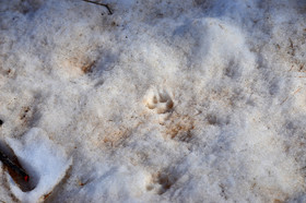 MISE A  JOUR  en cours