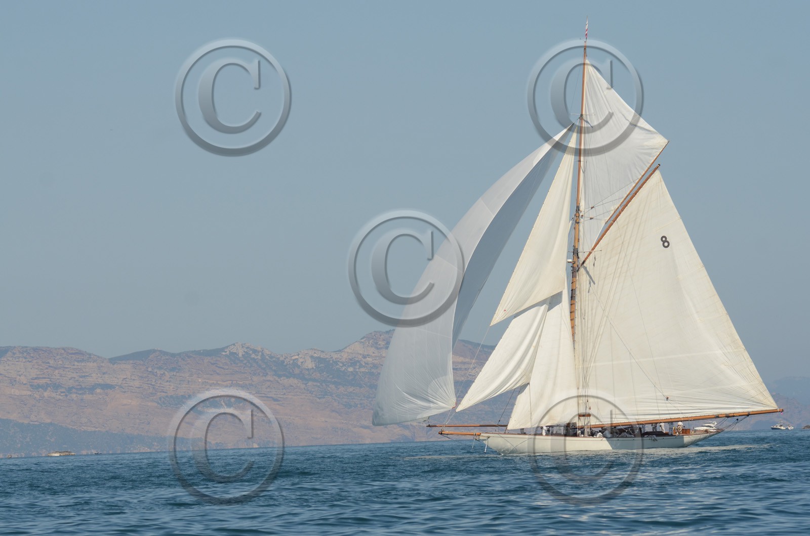 voile-2012-3013.jpg