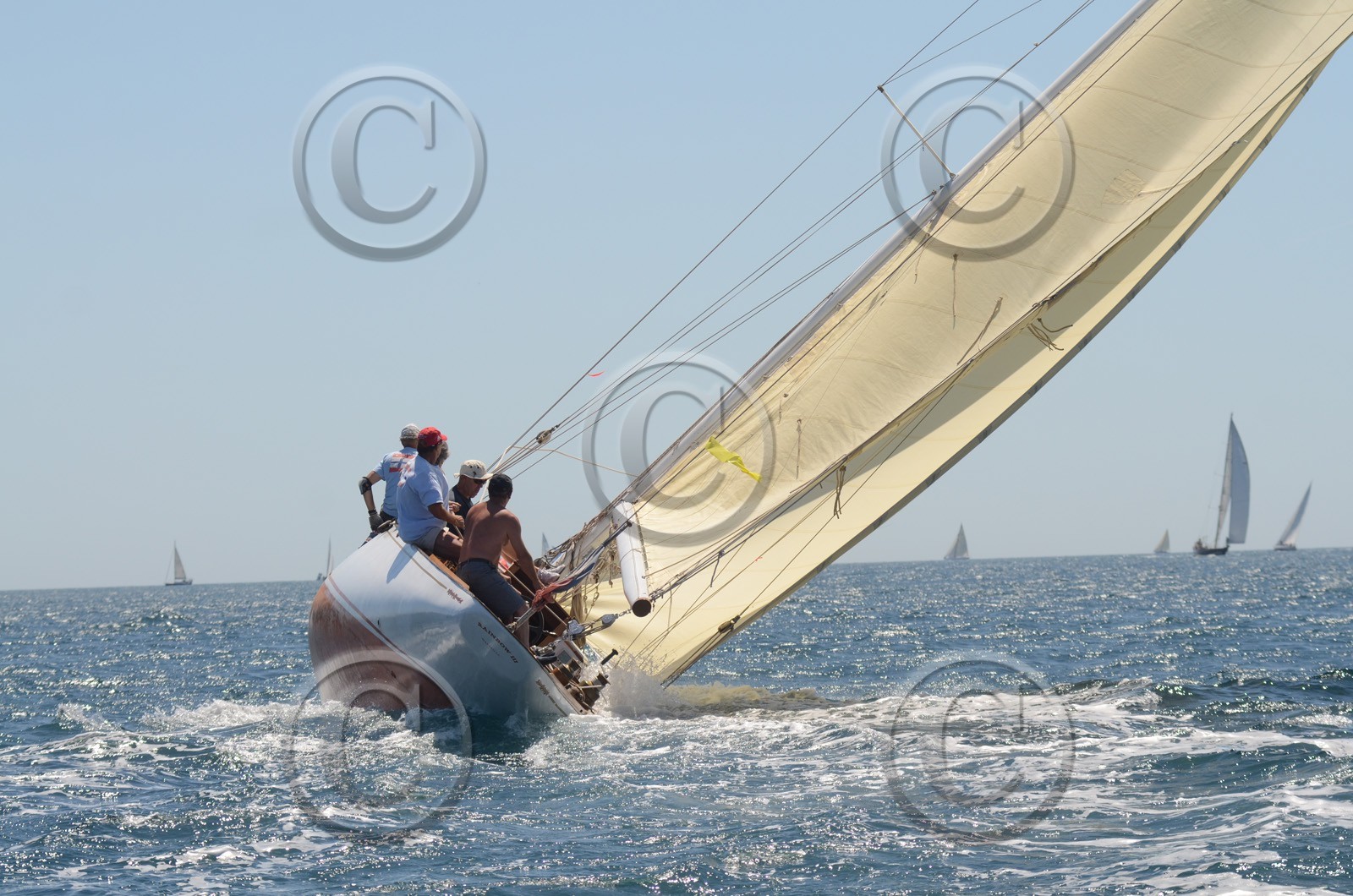 voile-vp-2012-2104.jpg