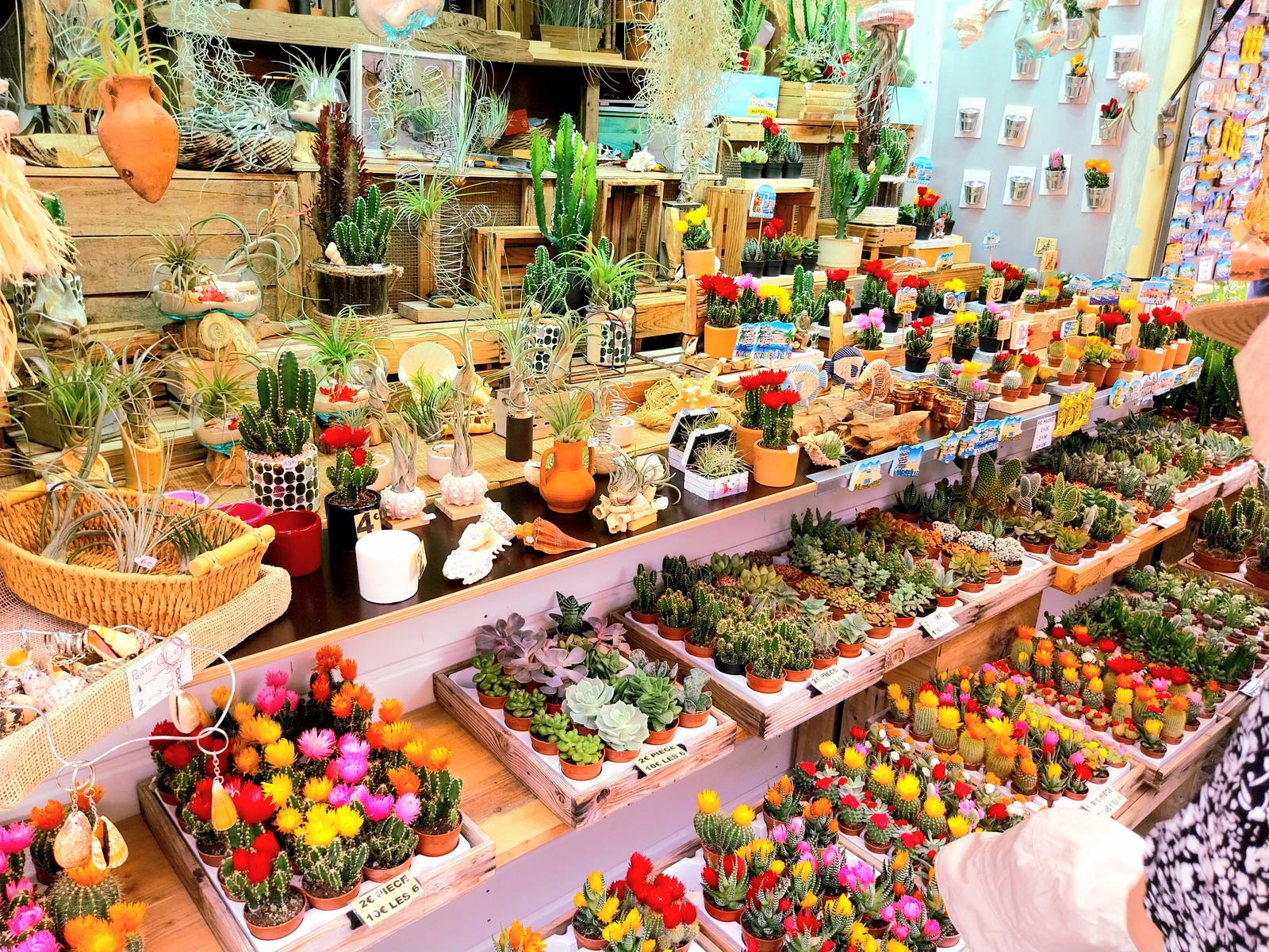 À MARSEILLE,  MARCHÉ D'ÉTÉ SUR LA CANEBIÉRE ,   TOUS LES JOURS  JUILLET & AOUT  2024  DE 11H À 23H