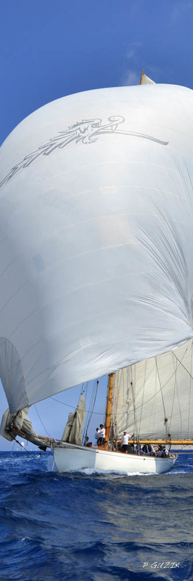 Selection format 20X60 cm