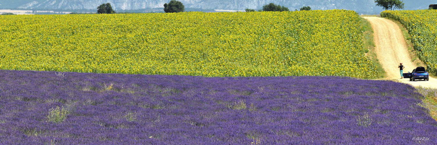 Selection format 20X60 cm