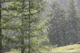 montagne haute alpes ,queyras, mercantour,alpes de haute provence,alpes maritime