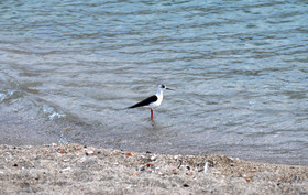 MISE A  JOUR  en cours