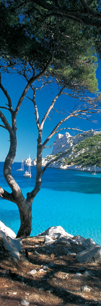 Selection format 20X60 cm