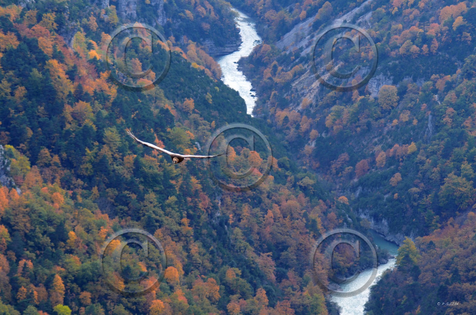 MISE A  JOUR  en cours