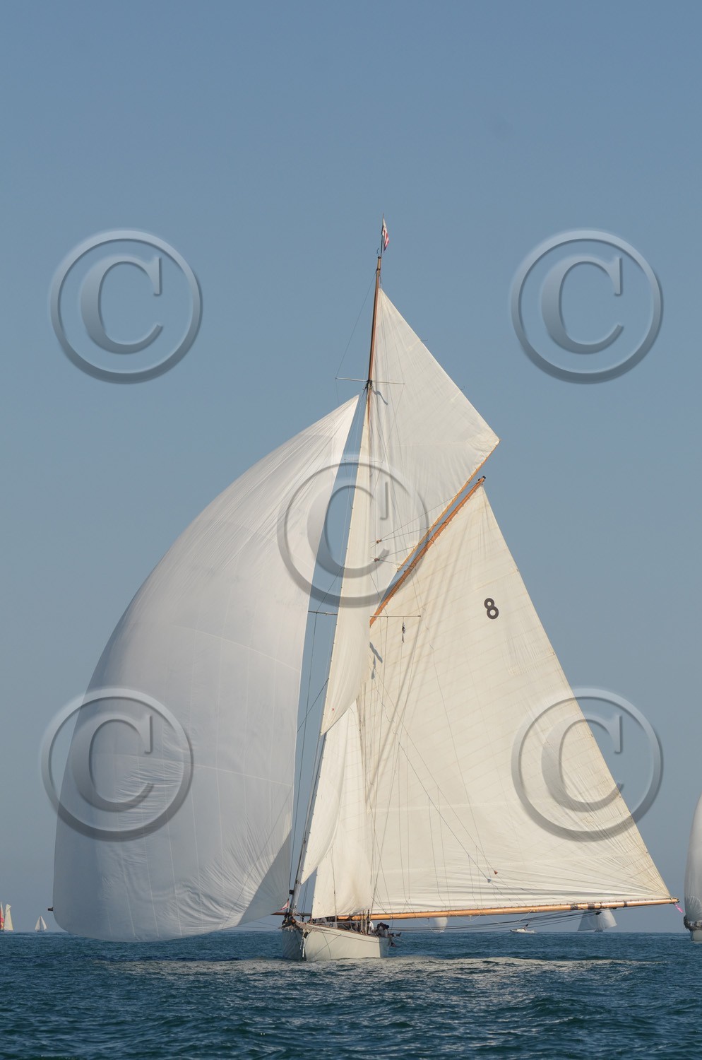 voile-2012-3137.jpg