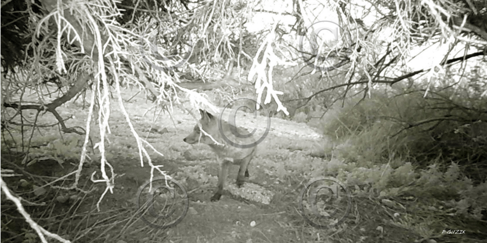 MISE A  JOUR  en cours