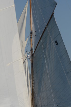 voile-vp-2012-2449.jpg